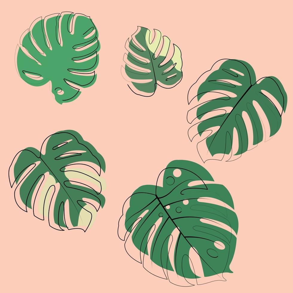 de ontwerp is modieus en exotisch voor de blad monstera groen van natuur in de zomer botanisch oerwoud voor de banier achtergrond, decoratie, kader, en voor illustratie. vector