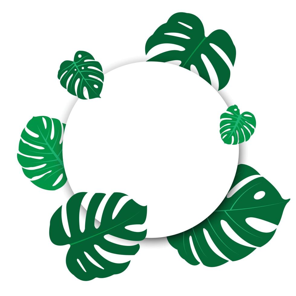 de ontwerp is modieus en exotisch voor de blad monstera groen van natuur in de zomer botanisch oerwoud voor de banier achtergrond, decoratie, kader, en voor illustratie. vector