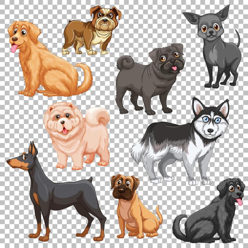 set van verschillende honden geïsoleerd vector