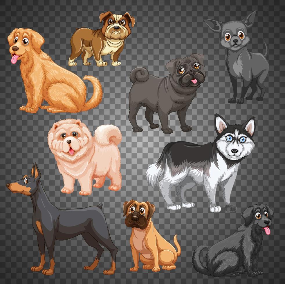 set van verschillende honden geïsoleerd vector