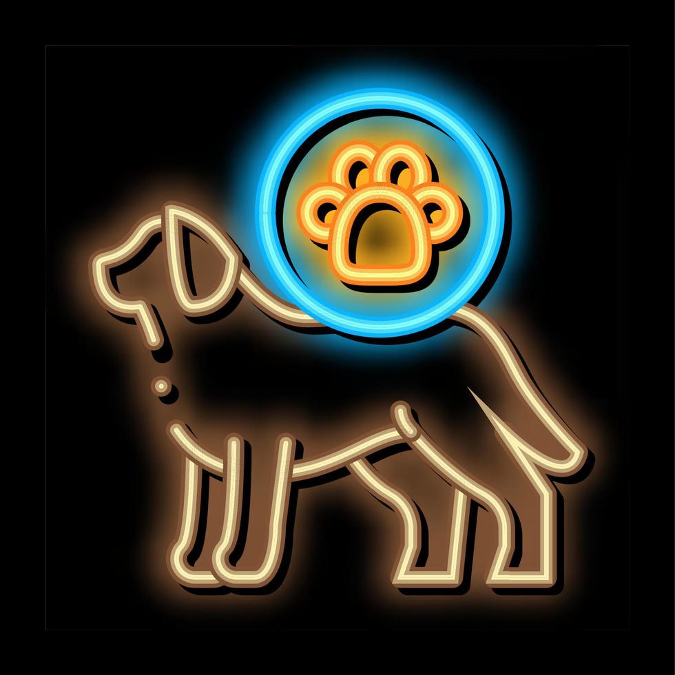 hond voetafdruk neon gloed icoon illustratie vector