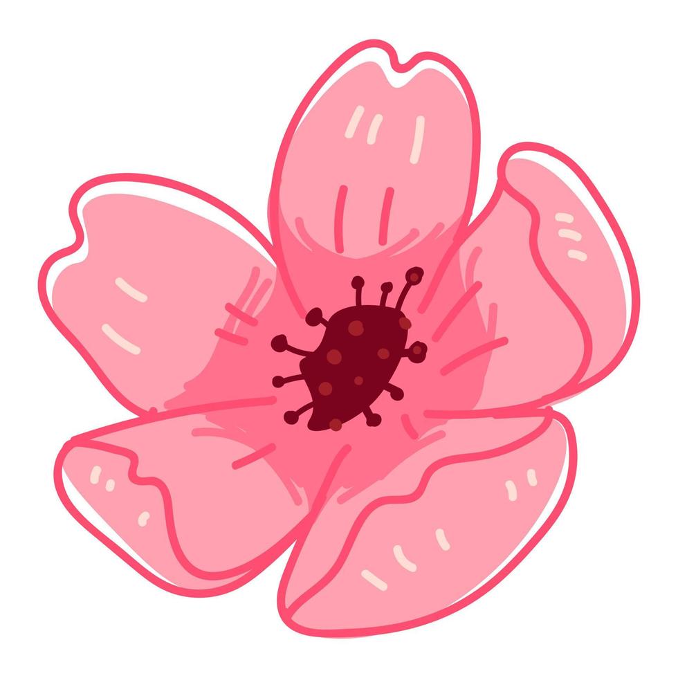 sakura bloesem, bloeiend roze flora vector