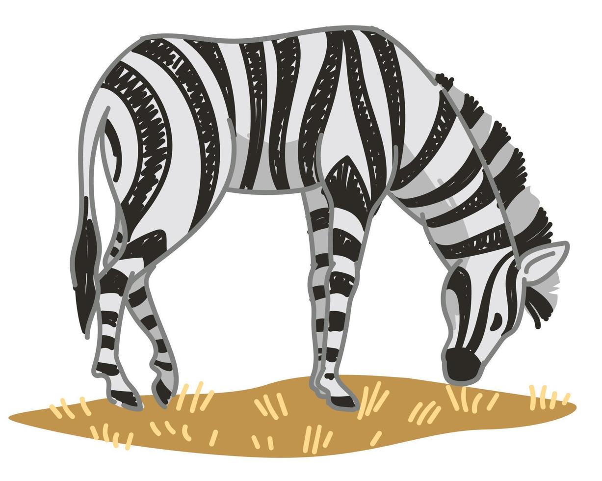 zebra dier met gestript afdrukken Aan harig jas vector