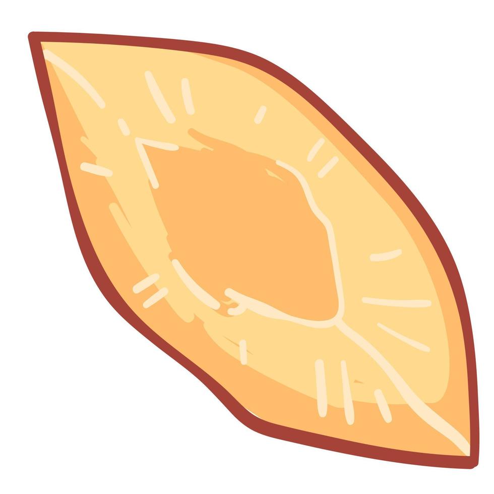 stuk van perzik of nectarine, abrikoos fruit vector