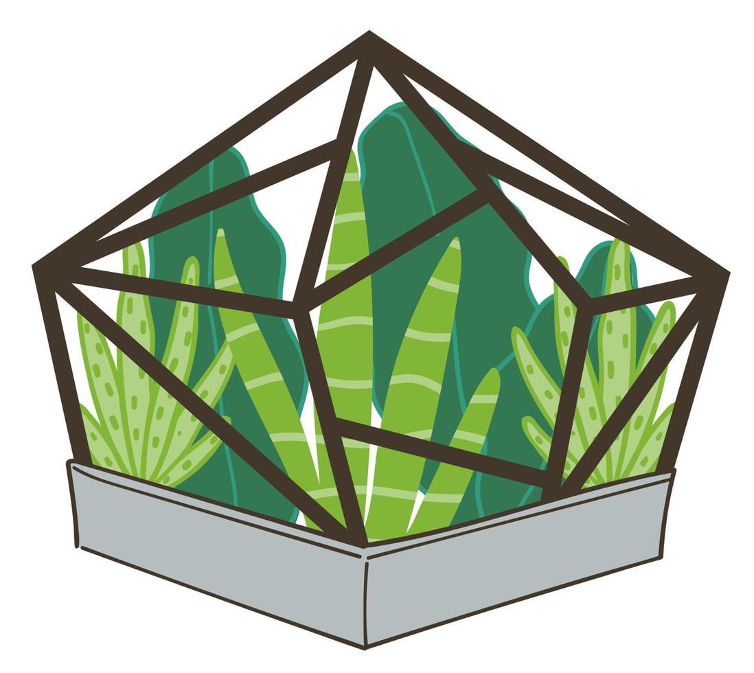 vetplanten groeit in glas terrarium ecosysteem vector