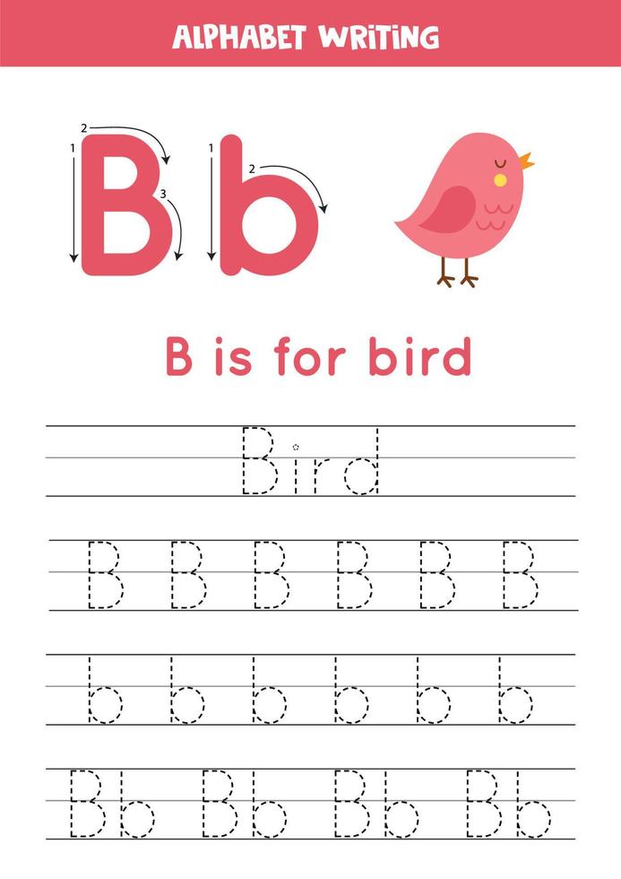 aan het leren naar schrijven brieven voor peuter- kinderen. b is voor vogel. vector