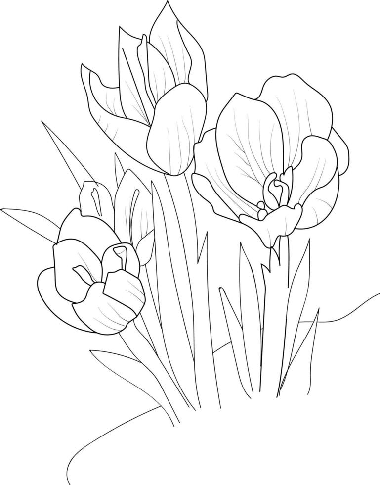 saffraan bloemen Afdeling van hand- tekening vector illustratie wijnoogst ontwerp elementen boeket bloemen natuurlijk verzameling kleur bladzijde en boek voor volwassen en kinderen isoleren Aan wit achtergrond