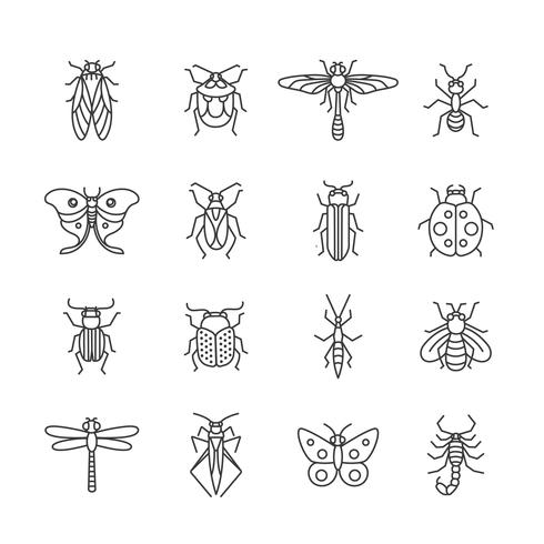 Insecten lijn pictogram vector