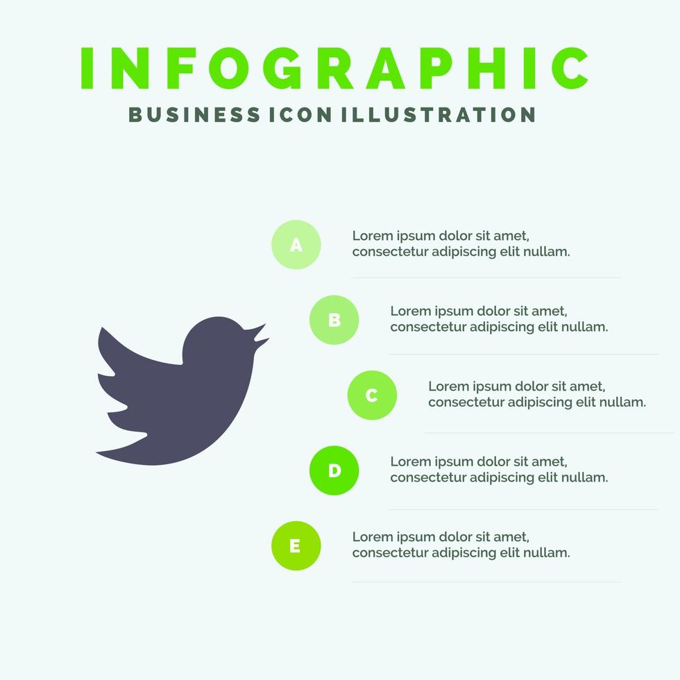 netwerk sociaal twitter solide icoon infographics 5 stappen presentatie achtergrond vector