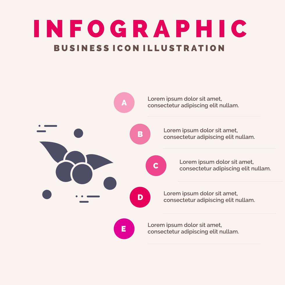 kers voedsel fruit solide icoon infographics 5 stappen presentatie achtergrond vector