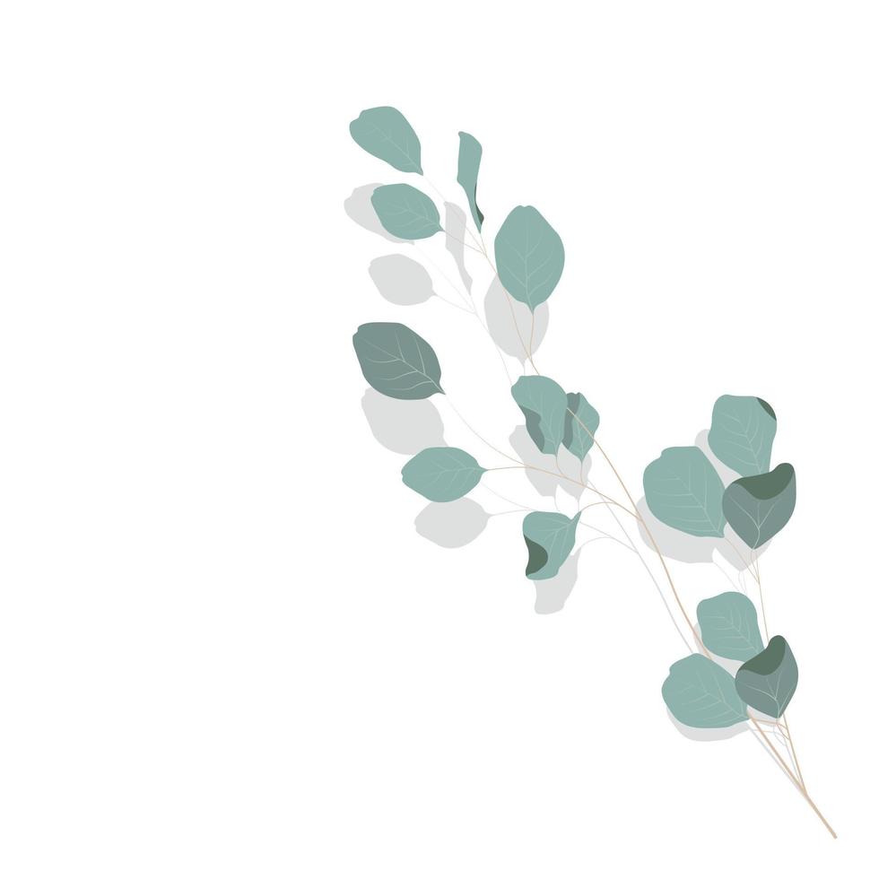 vector voorraad illustratie van eucalyptus bladeren. delicaat tropisch bladeren voor de bruid boeket. een Afdeling van mintkleurig bloemen. voorjaar of zomer bloemen voor uitnodiging, bruiloft of groet kaarten.