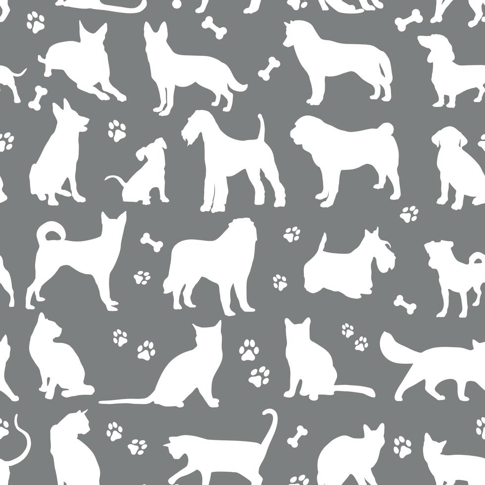 patroon van witte kleuren katten en honden vector