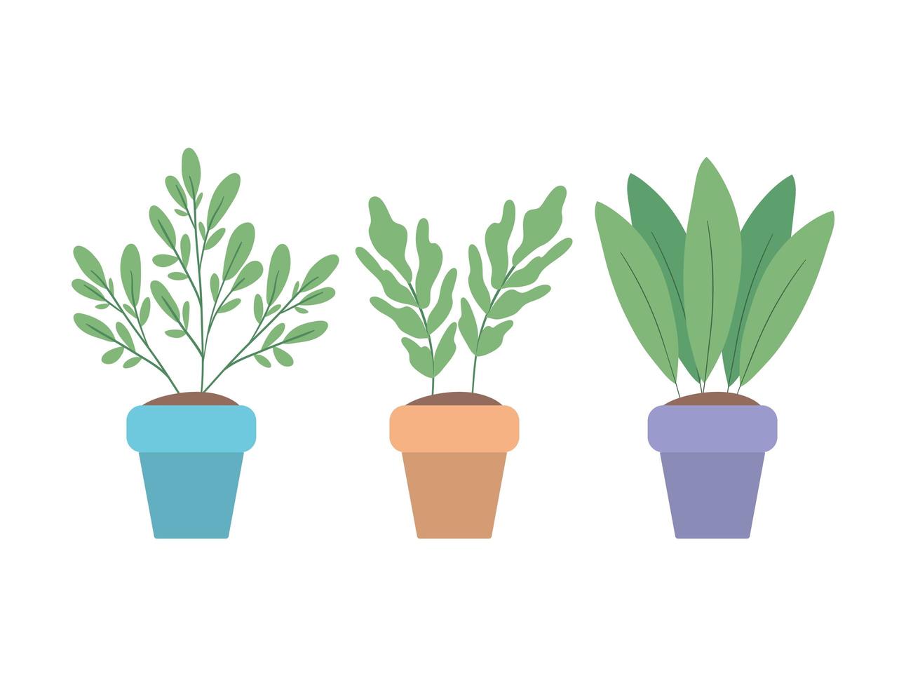geïsoleerde planten in potten vector design