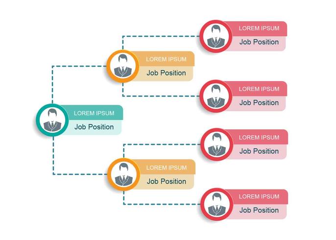 Business Organogram-diagram vector