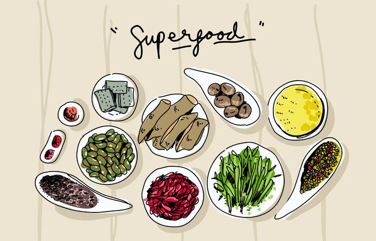 Super Foods op Bowl Top View Hand getrokken vectorillustratie vector