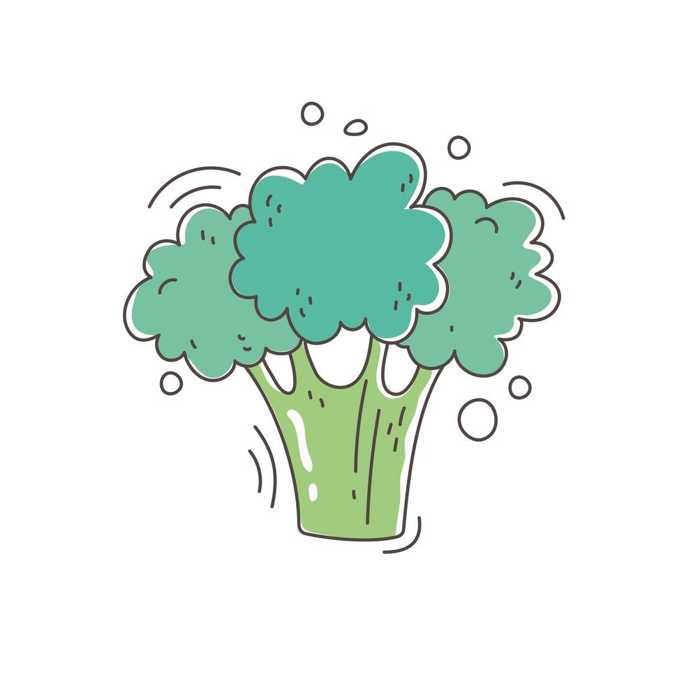 gezonde voeding voeding dieet biologische groente verse broccoli vector