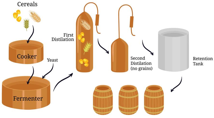 Bourbon Process Vectoren