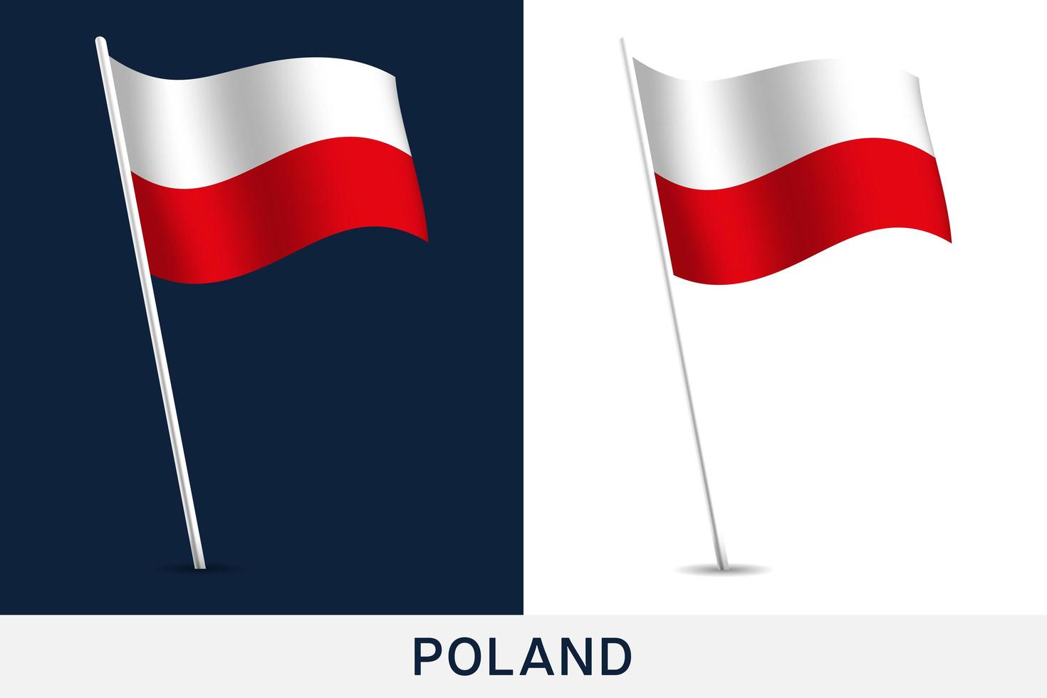 polen vector vlag