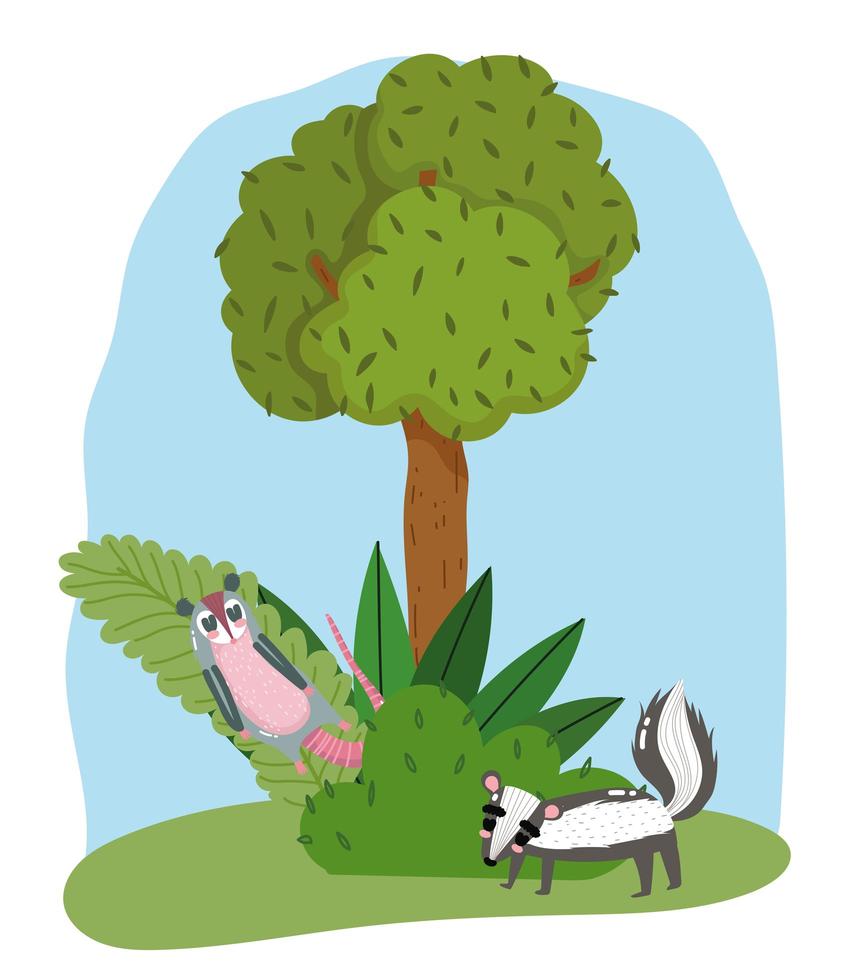 schattige opossum en skunk dieren gras boom natuur wilde cartoon vector