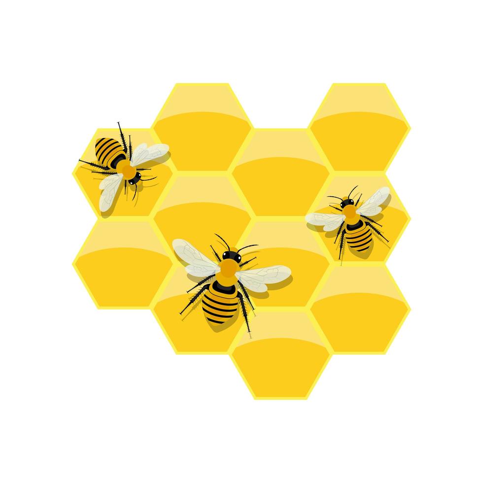 honingraat vectorillustratie ontwerp geïsoleerd op een witte achtergrond vector