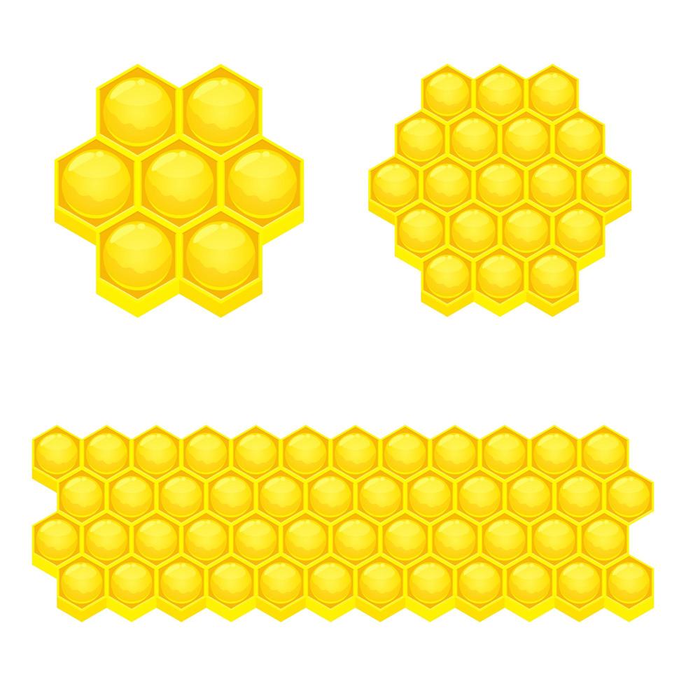 honingraat vectorillustratie ontwerp geïsoleerd op een witte achtergrond vector