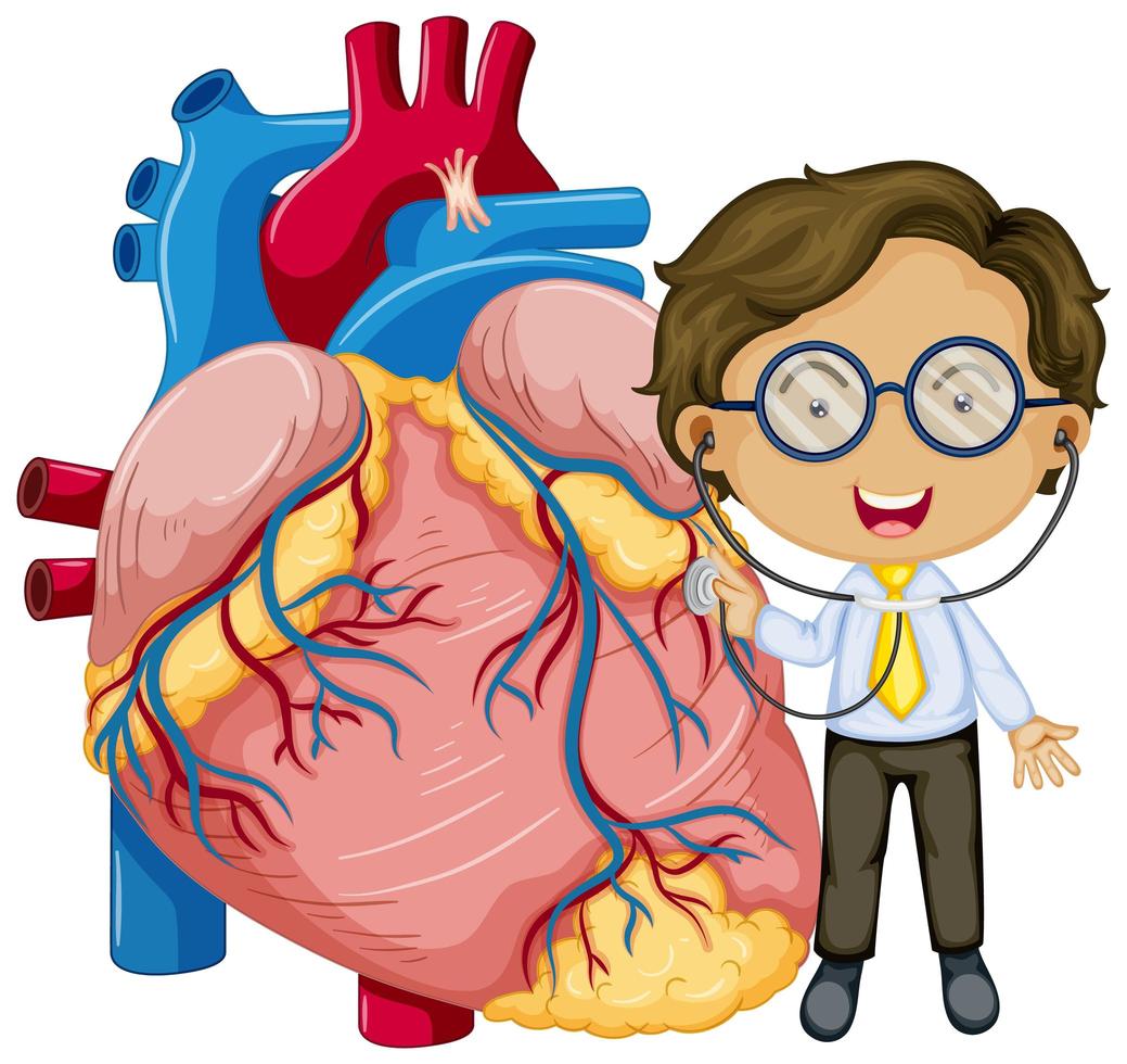 menselijk hart met een stripfiguur van een arts vector