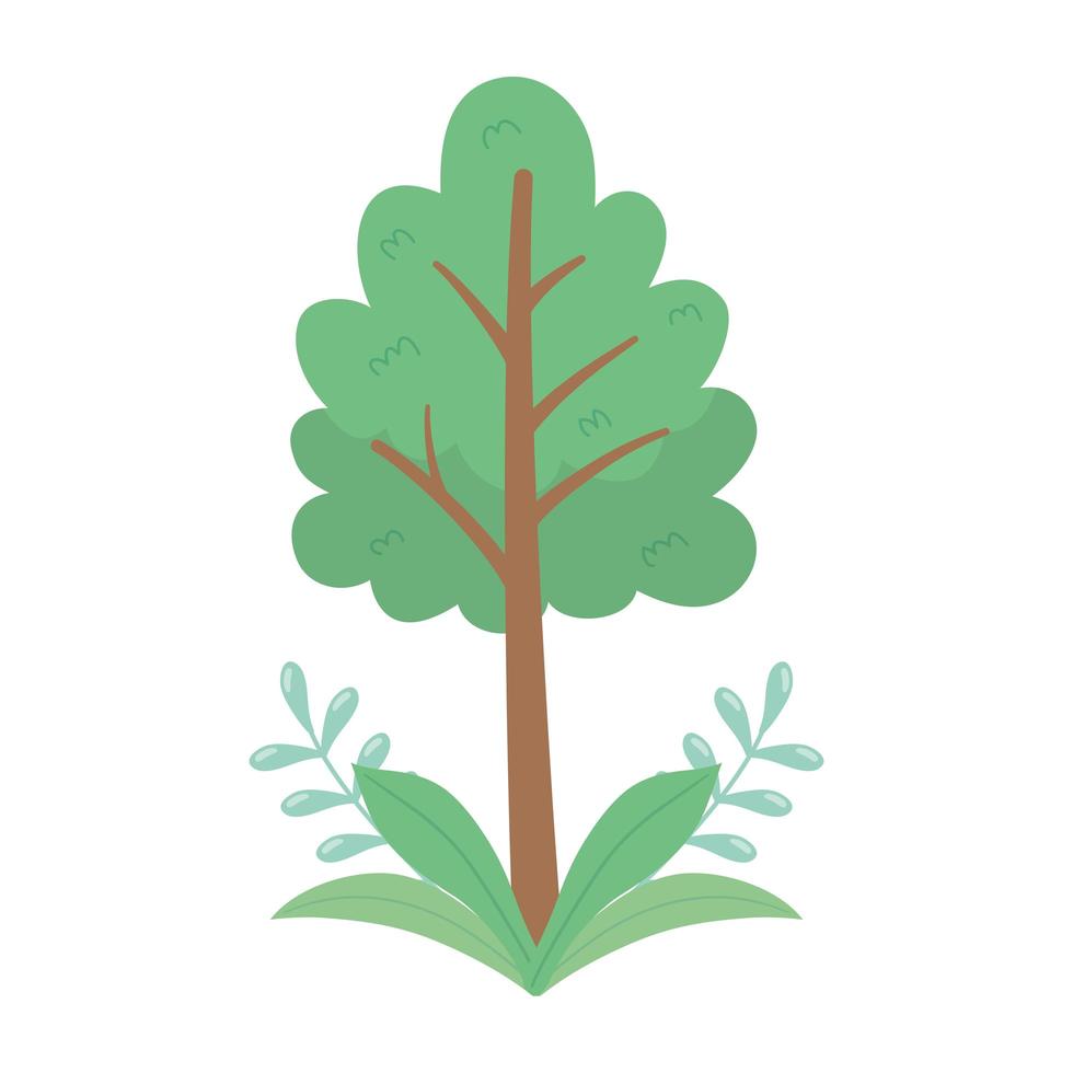 boom gebladerte takken bladeren natuur geïsoleerd pictogram ontwerp vector