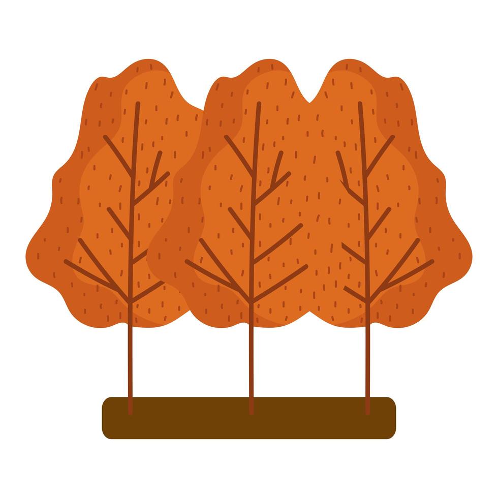 bos bomen natuur bladeren herfst geïsoleerd ontwerp witte achtergrond vector