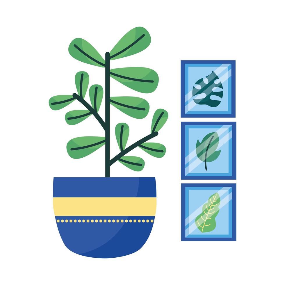 geïsoleerde plant en frames vector design