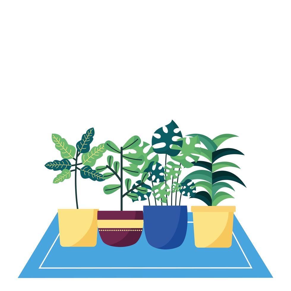 geïsoleerde planten in potten vector design