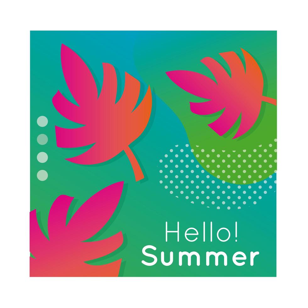 hallo zomer kleurrijke banner met bladplant vector