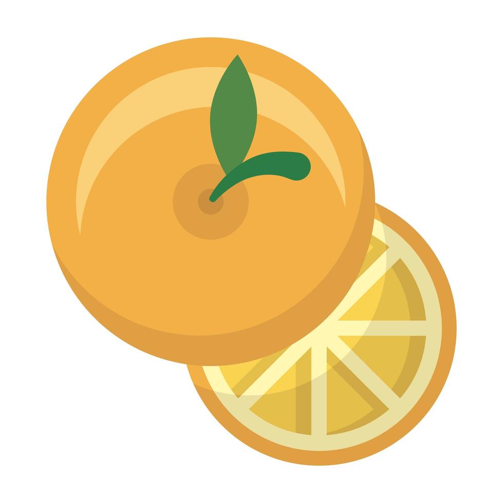 geïsoleerd oranje fruit vectorontwerp vector