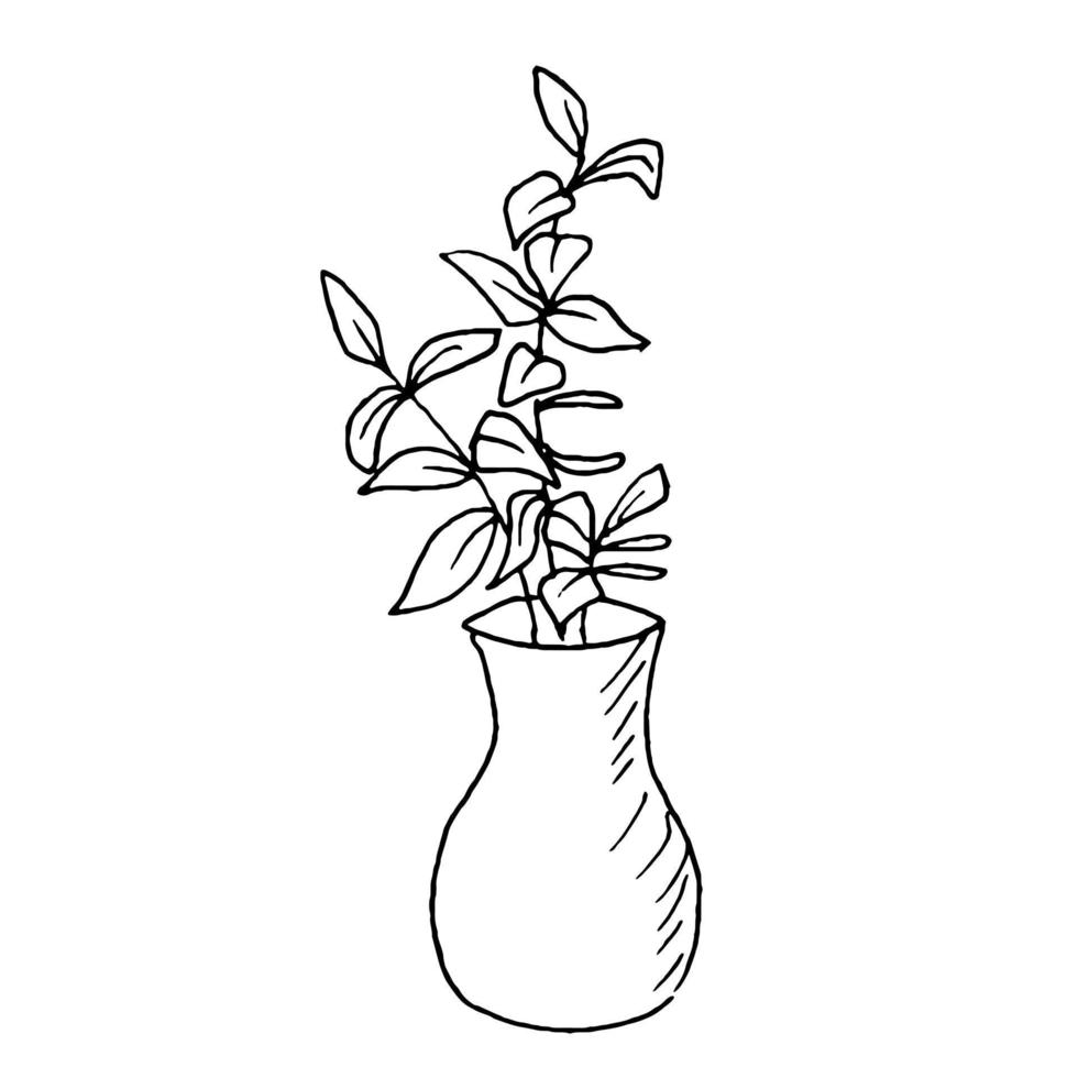 huis planten in potten in vazen met bloemen. tekening stijl.botanisch illustratie. vector