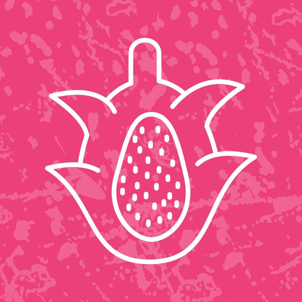 draak fruit vector icoon