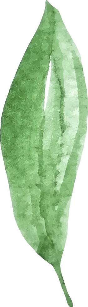 groen blad element waterverf hand- getrokken clip art voor decor vector