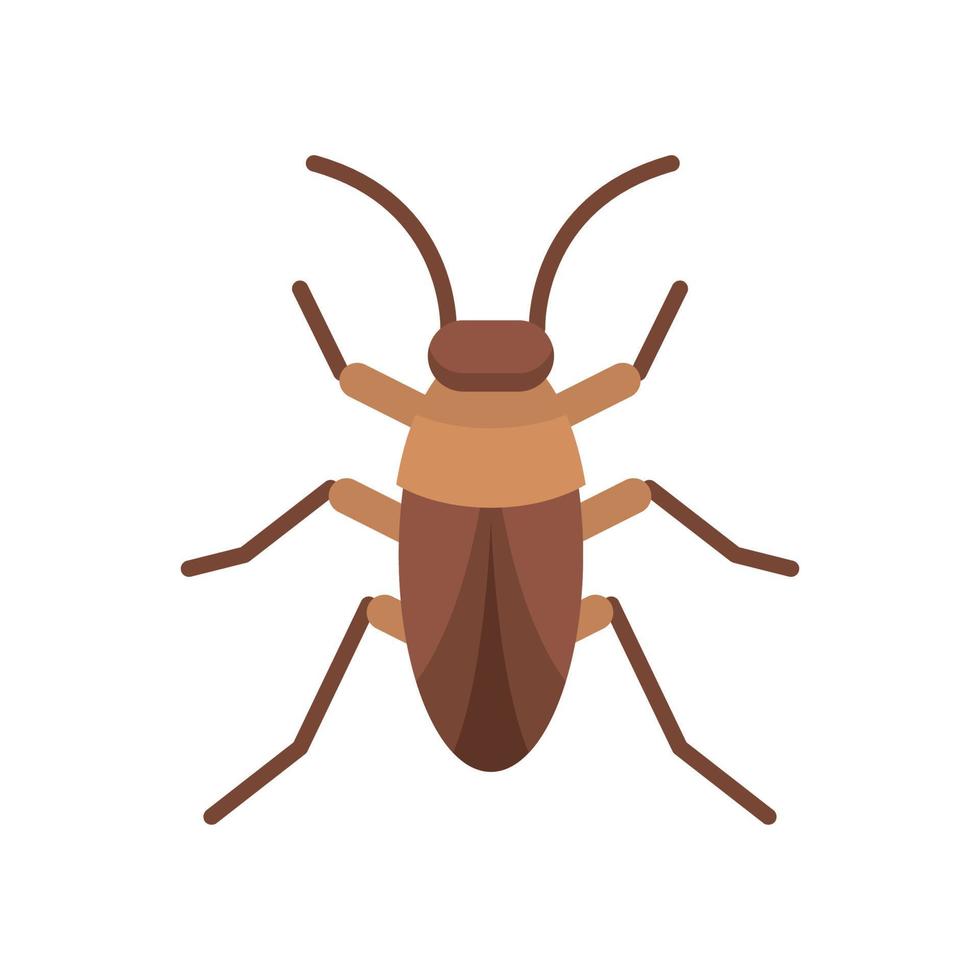 kakkerlak icoon, vlak icoon vector illustratie geïsoleerd Aan wit achtergrond. voor de thema van dieren, insecten en anderen