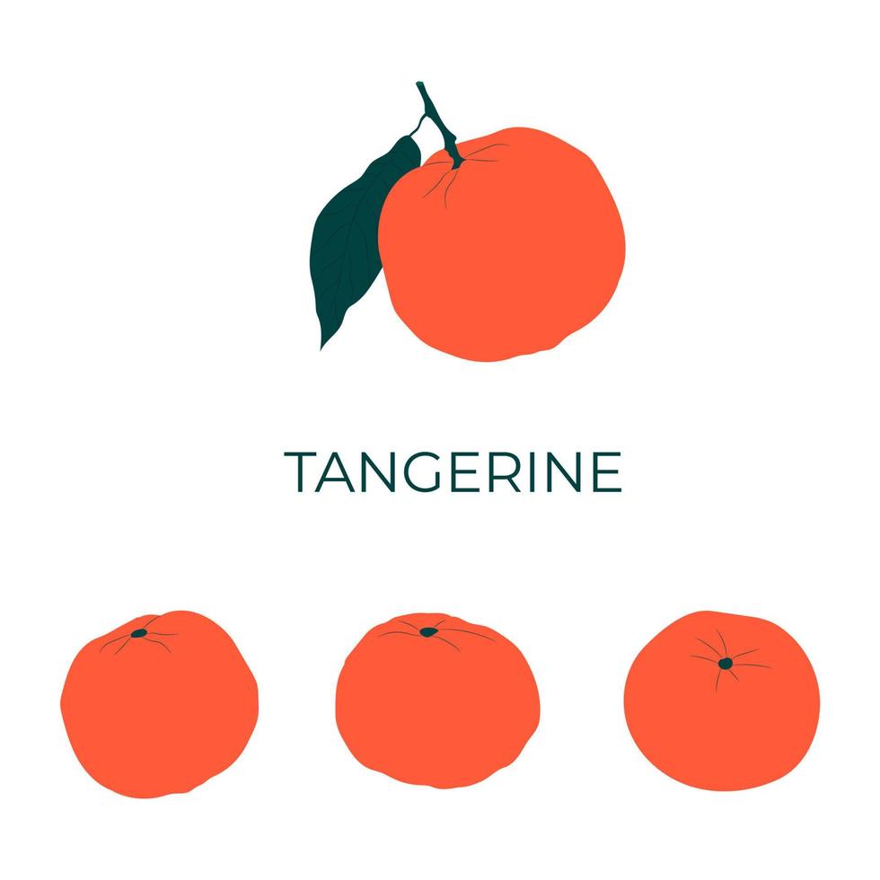 oranje mandarijnen met groen takken en groen bladeren. vector naadloos patroon.