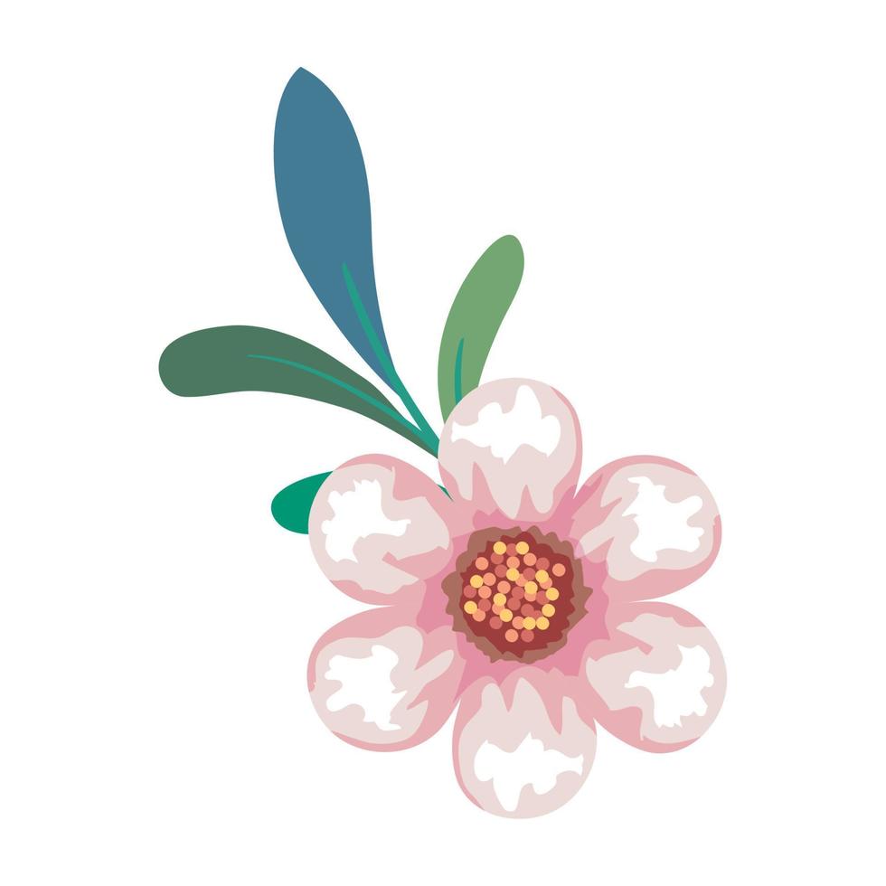 roze bloem tekening met bladeren vector ontwerp