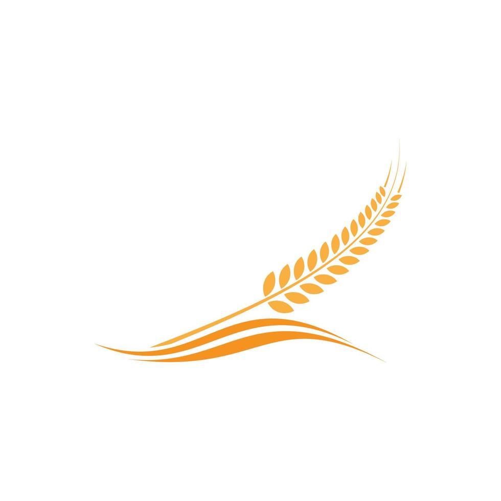 rijst logo vector