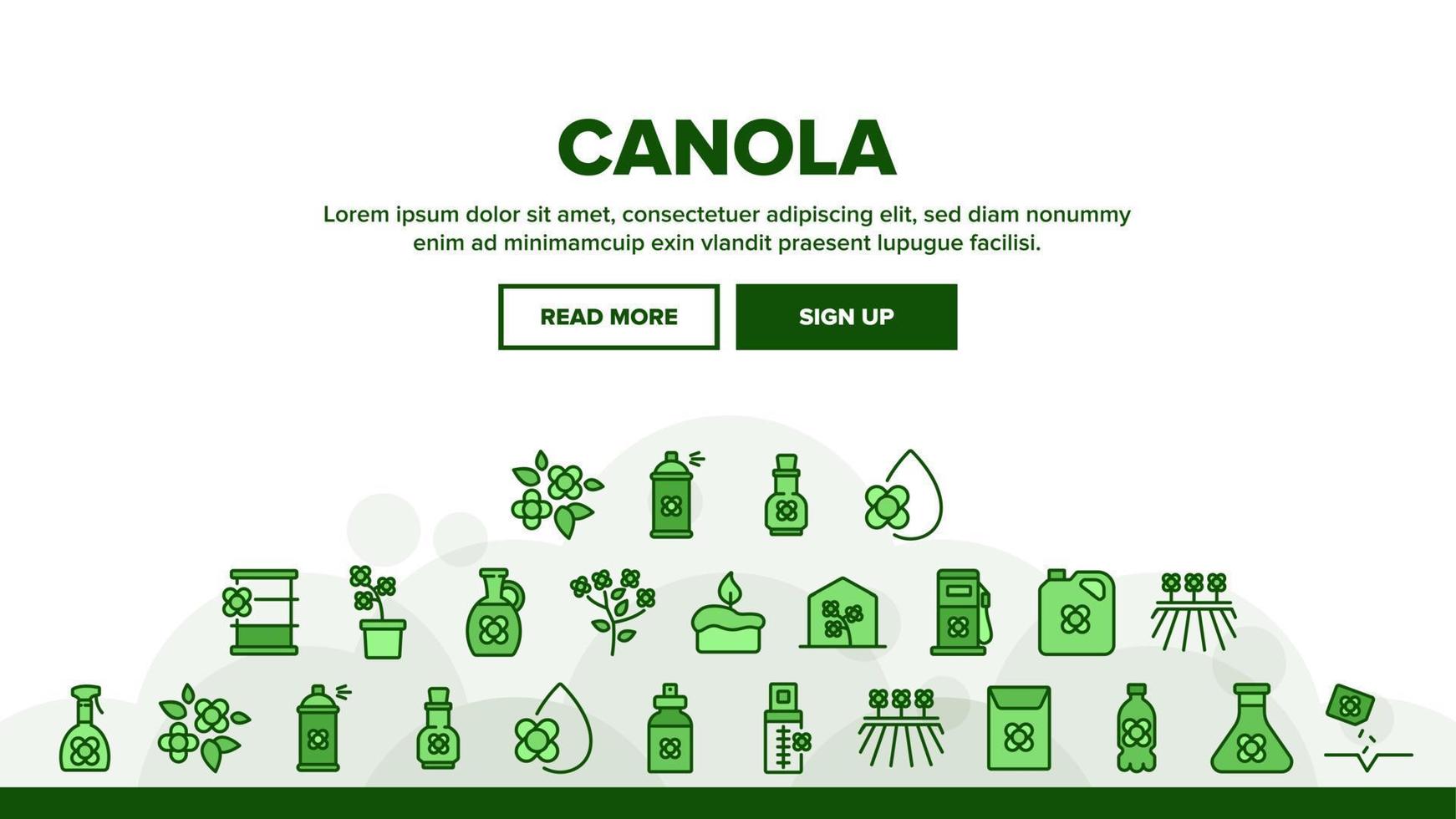 canola agrarisch landen hoofd vector