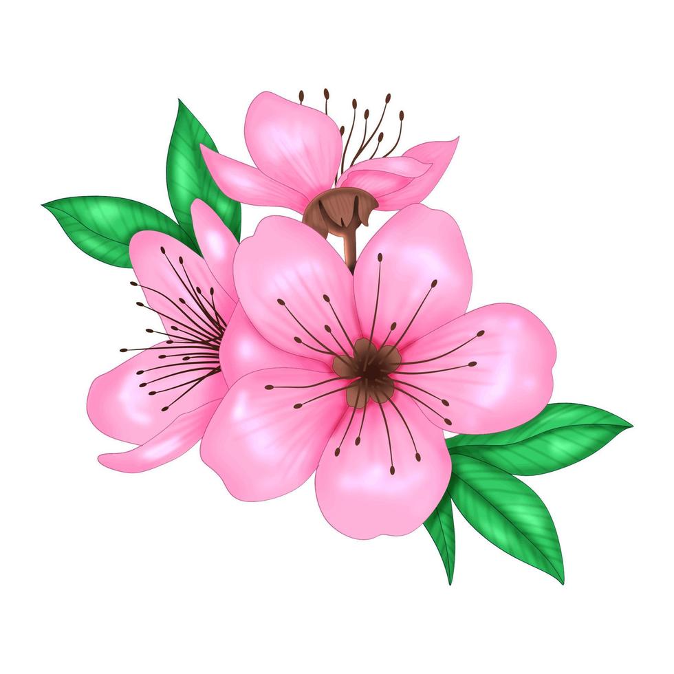 voorjaar sakura kers bloeiend bloemen boeket. geïsoleerd realistisch roze bloemblaadjes, bloemen bloemblad vector set. voorjaar boom illustratie ontwerp