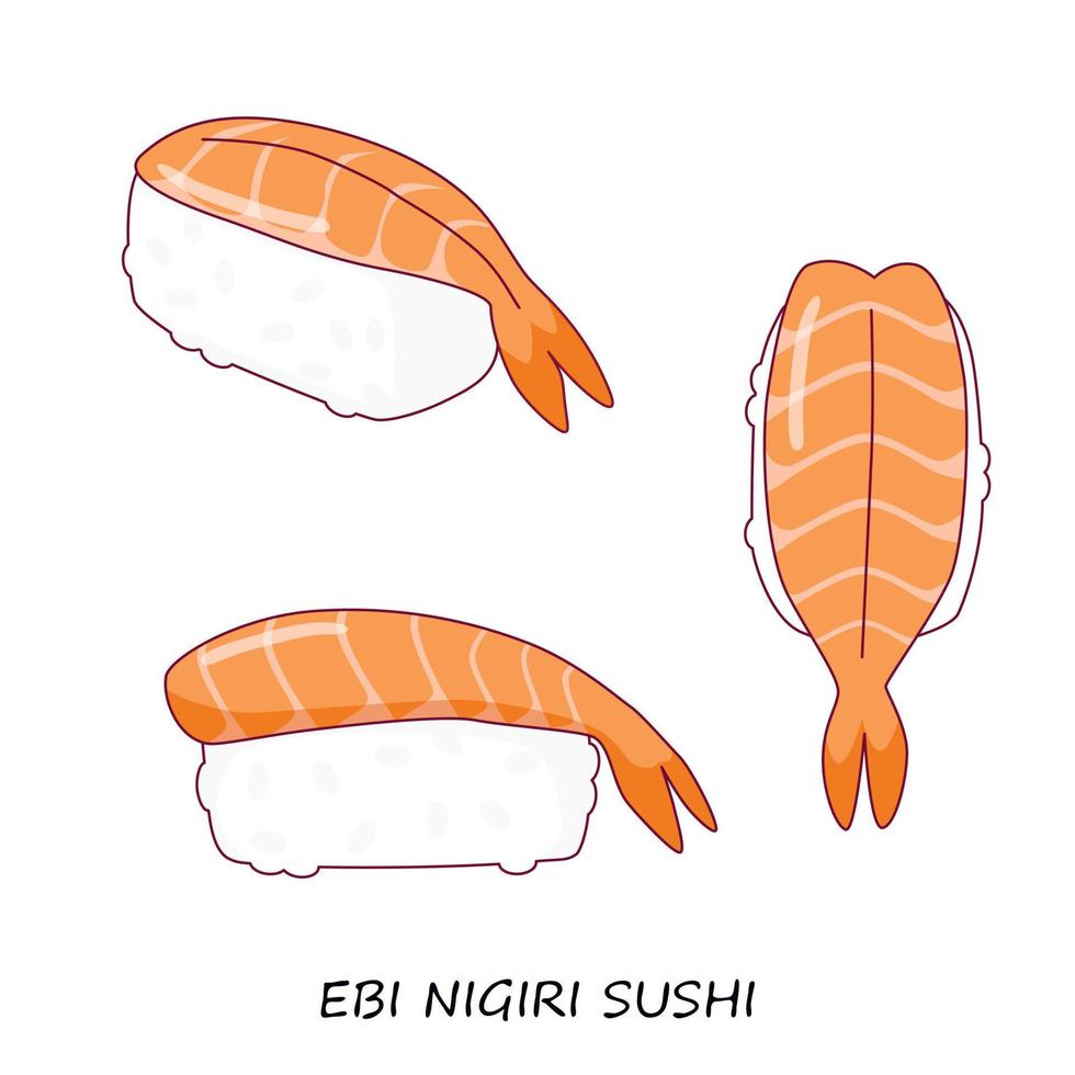 garnaal sushi nigiri Aan wit achtergrond. ebi nigiri. verschillend visie. traditioneel Japans voedsel. vector clip art.