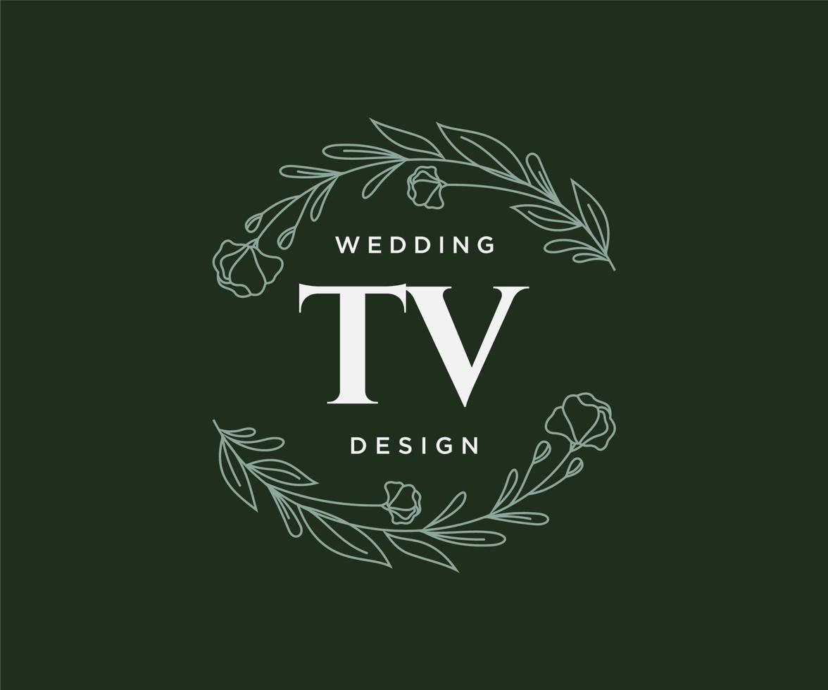 TV initialen brief bruiloft monogram logos verzameling, hand- getrokken modern minimalistisch en bloemen Sjablonen voor uitnodiging kaarten, opslaan de datum, elegant identiteit voor restaurant, boetiek, cafe in vector