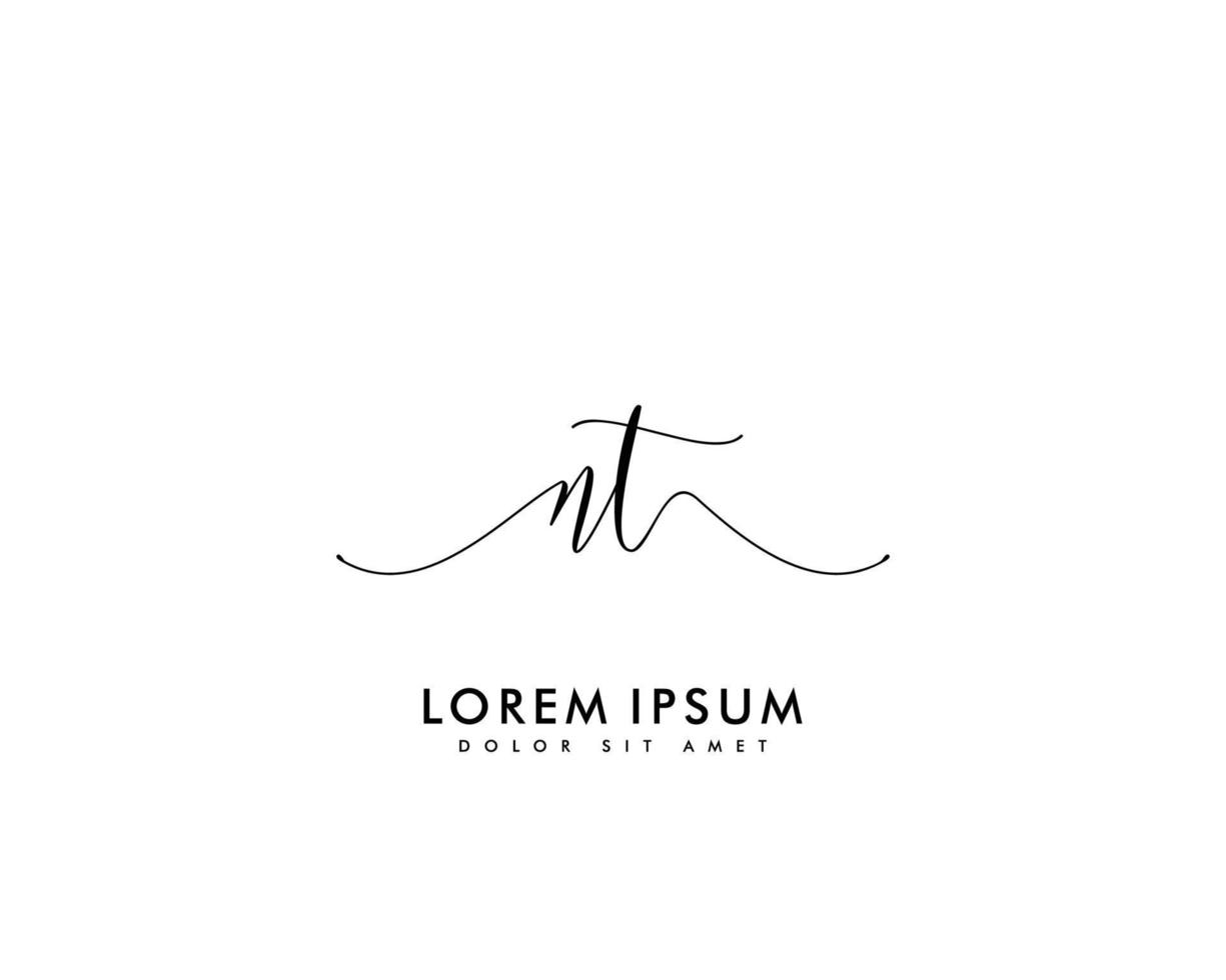 eerste brief nt vrouwelijk logo schoonheid monogram en elegant logo ontwerp, handschrift logo van eerste handtekening, bruiloft, mode, bloemen en botanisch met creatief sjabloon vector