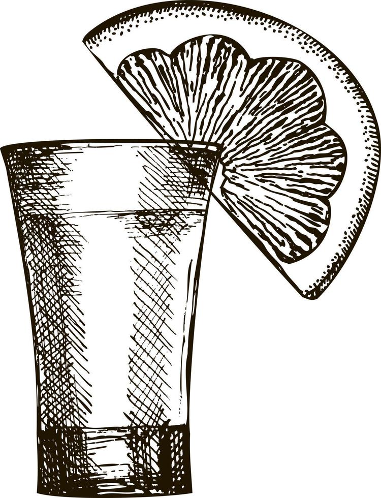 tequila. hand- getrokken vector illustratie. schot van tequila en limoen