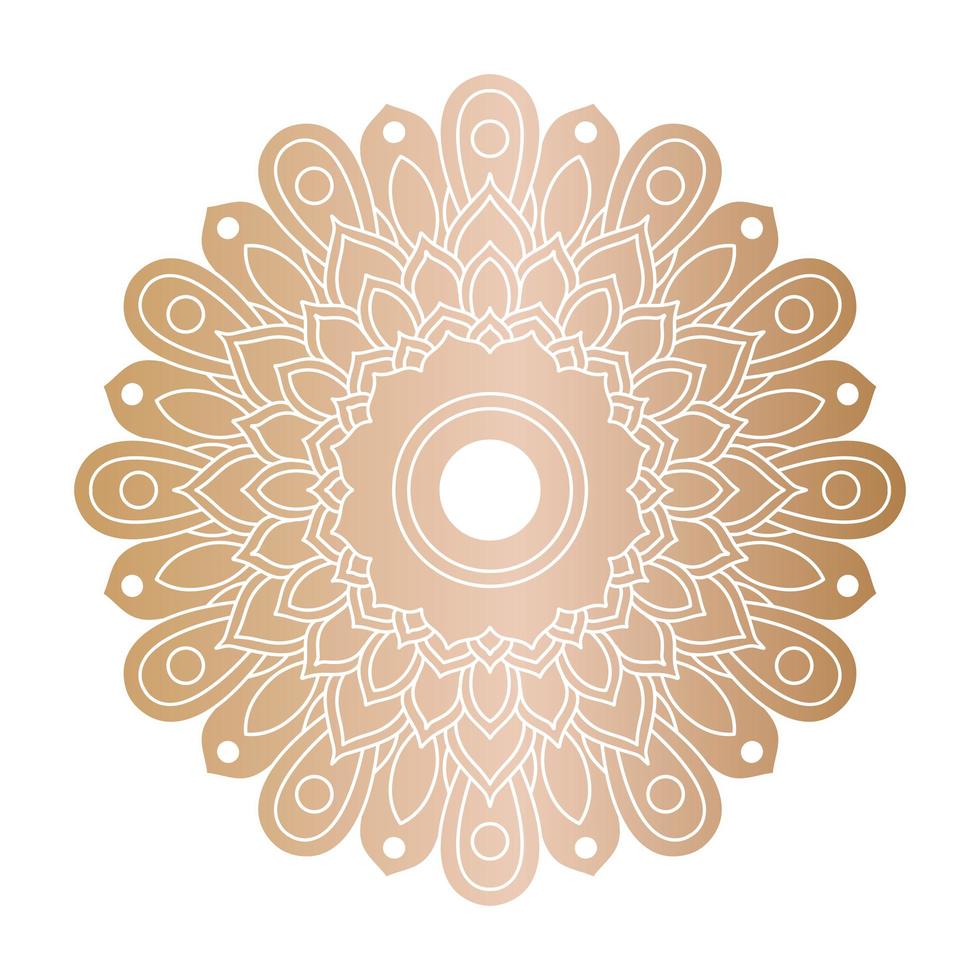 decoratieve bloemen gouden mandala vector