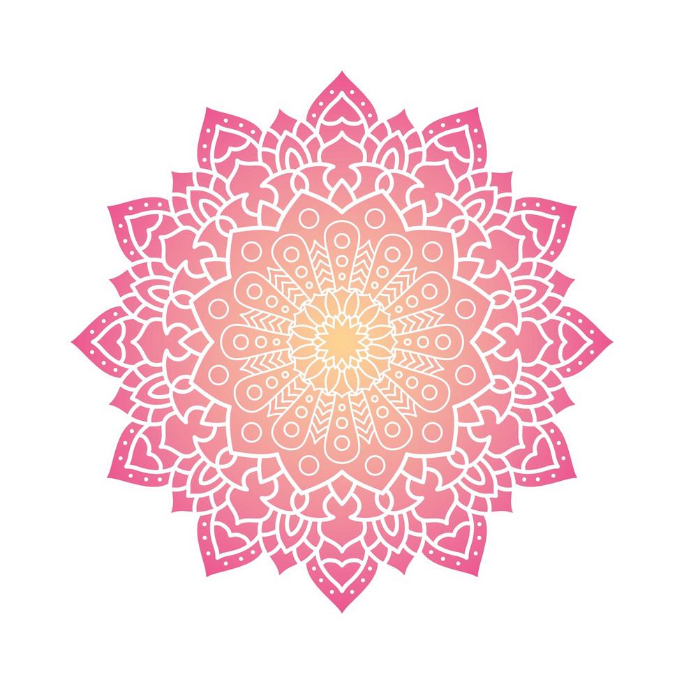 decoratieve bloemen roze mandala vector
