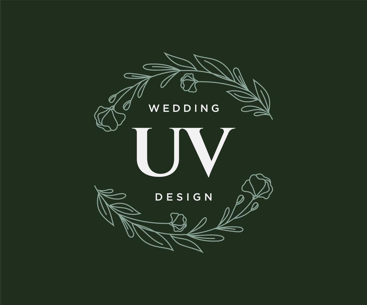 uv initialen brief bruiloft monogram logos verzameling, hand- getrokken modern minimalistisch en bloemen Sjablonen voor uitnodiging kaarten, opslaan de datum, elegant identiteit voor restaurant, boetiek, cafe in vector