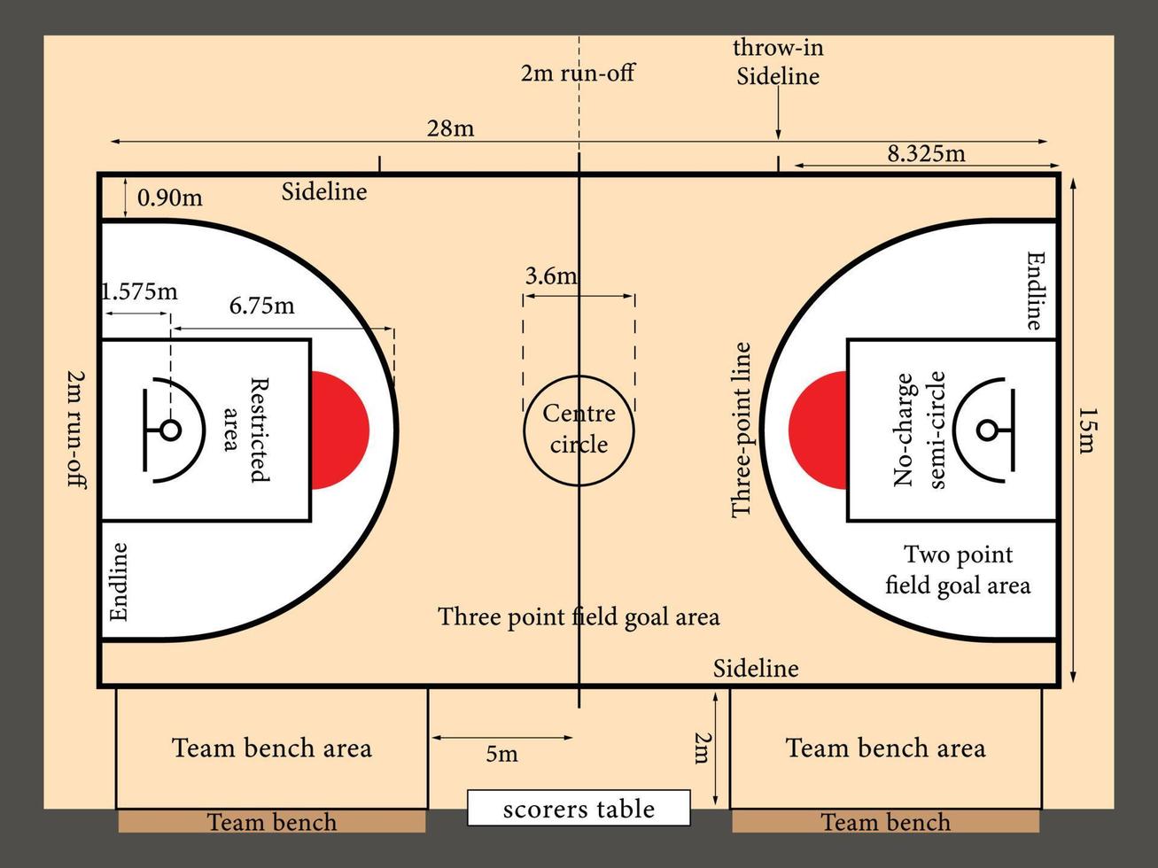 basketbal rechtbank, sport stadion basketbal arena met dimensies vector