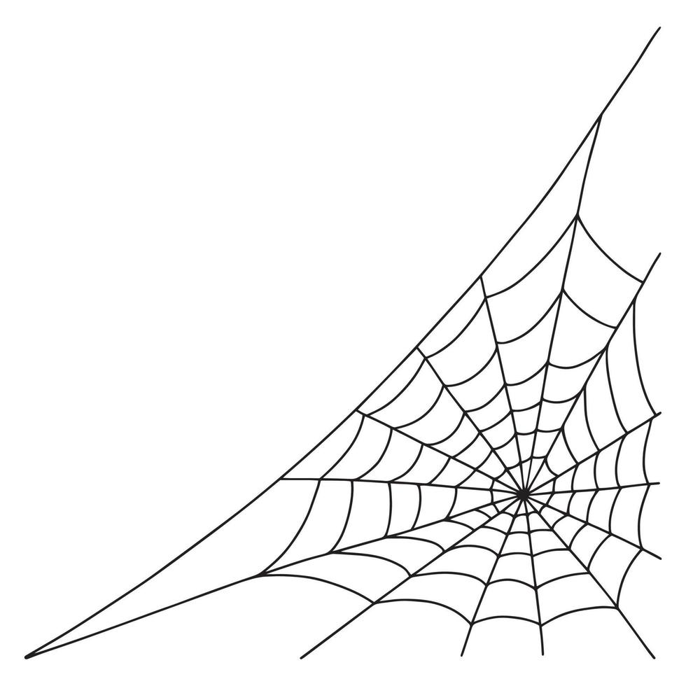 halloween spinnenweb vector